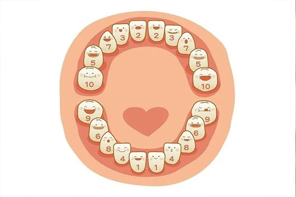 后槽牙长了一个小牙怎么办(后槽牙长了一个小牙怎么办图片)