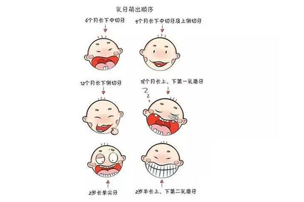 六龄牙坏了怎么办需要多少钱一颗呢(六龄牙坏了怎么办需要多少钱一颗呢)