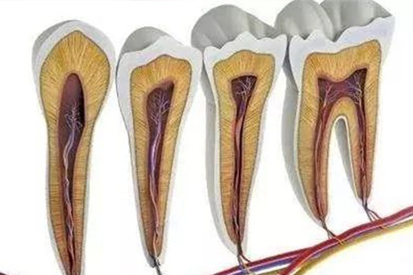牙根尖炎怎么回事啊(牙根尖炎怎么回事啊图片)
