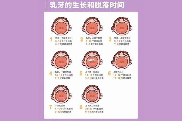 孩子的六龄齿是哪颗牙齿(孩子的六龄齿是哪颗牙齿换的)