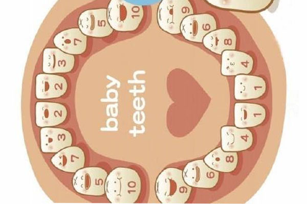 牙龈后面长了个小牙怎么办女性(牙龈后面长了个小牙怎么办女性)