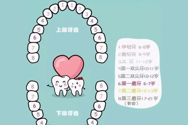 牙最里面长了一个小牙但一直没长出来怎么办啊(牙齿最里面长一颗小牙)