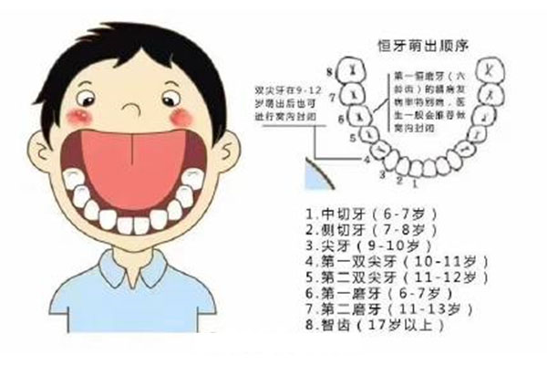 六龄齿长了还没换牙会怎么样(六龄齿长了还没换牙会怎么样图片)