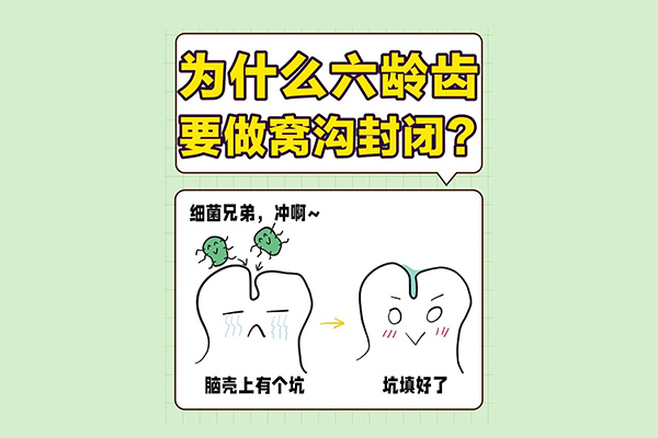 六龄齿有几个牙(六龄齿有几个牙神经)