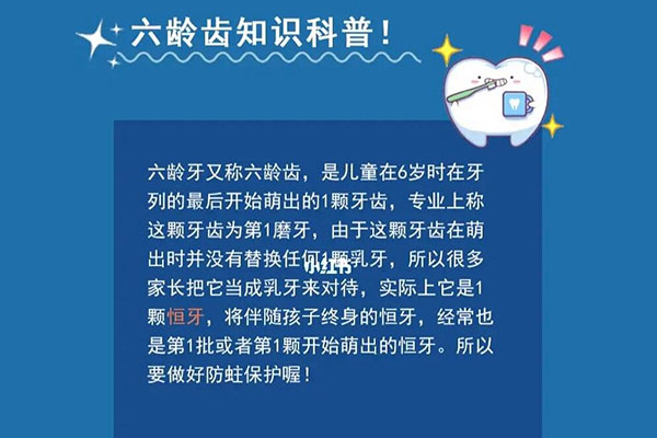 六龄齿最早什么时候长(六龄齿啥时候长出来的?)