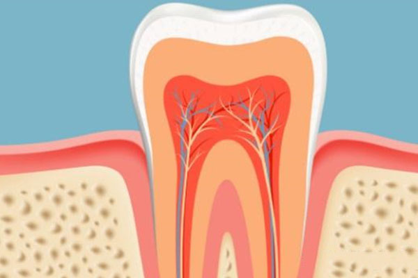 牙体缺损粘贴修复术有用吗多少钱啊(牙体缺损粘贴修复术有用吗多少钱啊图片