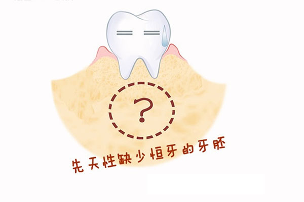 乳牙掉牙过程(乳牙掉牙过程图片)