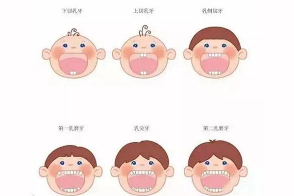 四颗六龄齿多久才能全部长出牙(四颗六龄齿多久才能全部长出牙