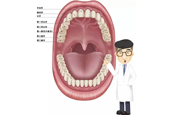 天包地牙齿矫正效果(天包地牙齿矫正