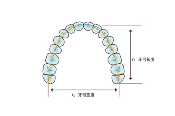 后槽牙后面长了个小牙是为什么原因