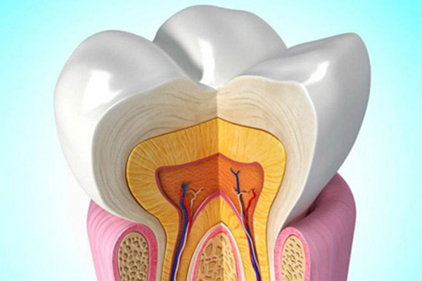 55岁种植牙多少钱一棵(55岁种植牙多少钱一棵图片)