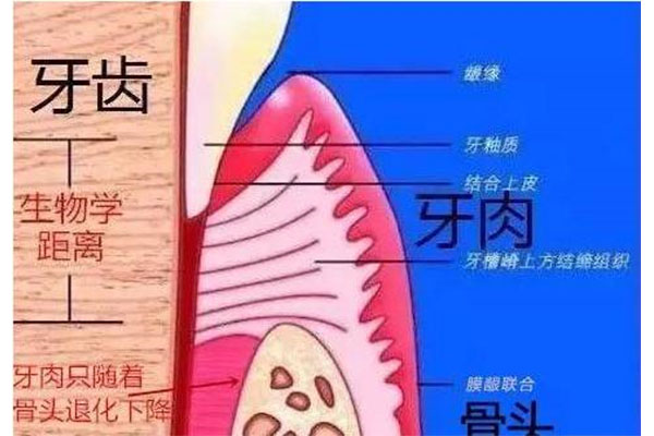 乳牙滞留临床表现不包括什么症状(乳牙滞留临床表现不包括什么