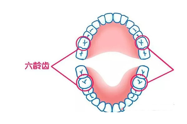 七岁六龄齿还没长出来怎么办(七岁六