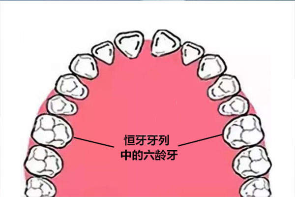 6岁还没长六龄牙(6岁还没长六龄牙怎么办)