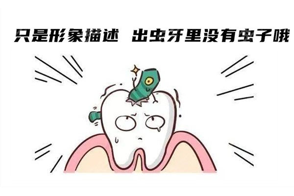 11岁蛀牙还能长出来吗(11岁蛀牙还能长出来吗为什么)