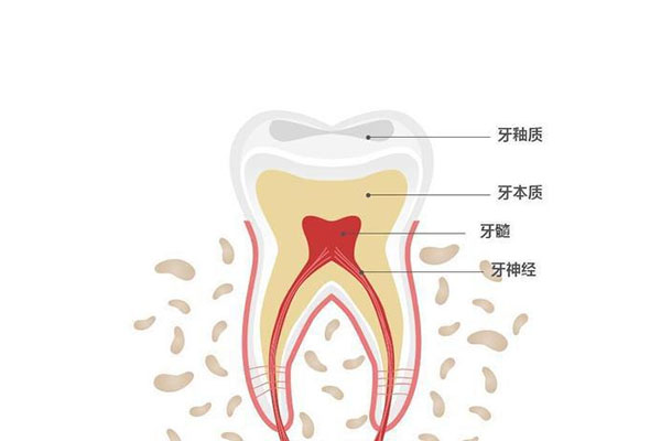 十大脱敏牙膏(脱敏牙膏哪个牌子好用