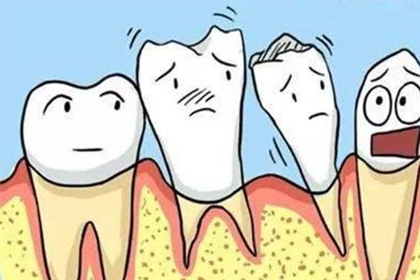 三十多岁牙龈萎缩牙齿松动怎么办(三十多岁牙龈萎缩牙齿松动怎么办呀)