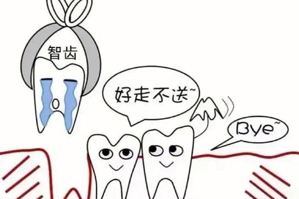 为什么智齿一定要拔掉