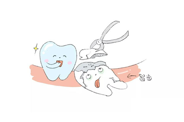 中位阻生智齿怎么拔(中位阻生智齿拔