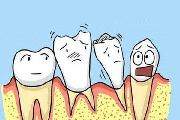 人老了牙齿会萎缩吗(人老了牙齿会萎缩吗为什么)