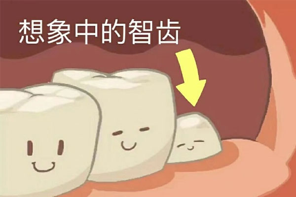 什么原因会造成长智齿