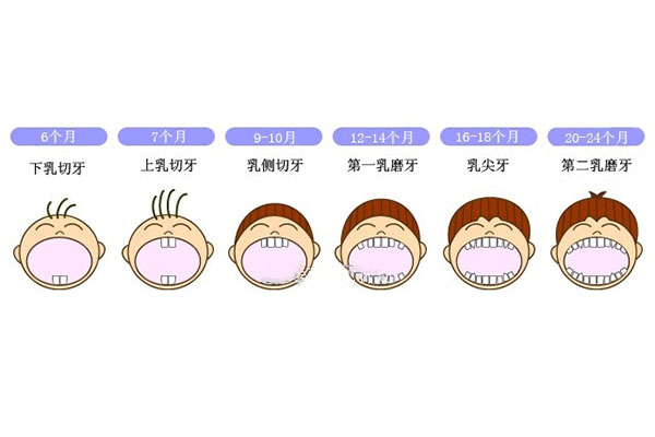 六龄牙一般几周岁开始长新牙了(六龄牙一般几周岁开始长新牙了