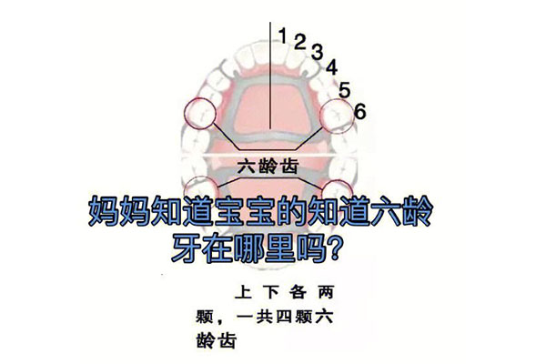儿童的六龄牙在哪里拔(儿童的六龄牙