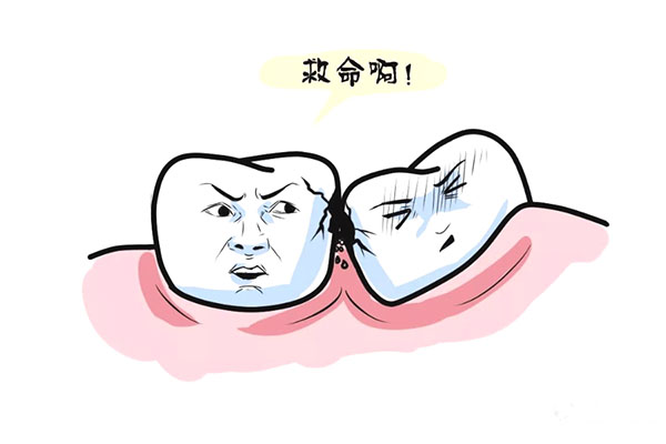 什么年龄段才会长智齿