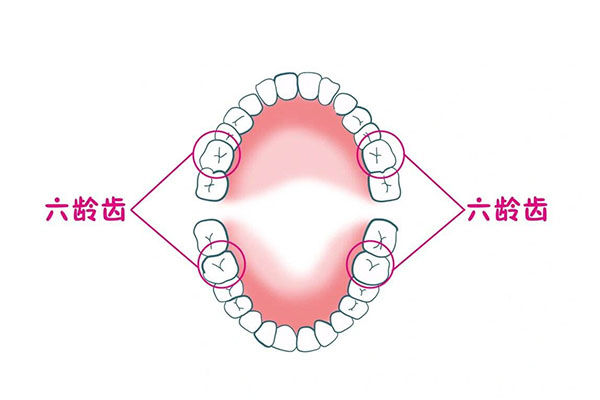 儿童六龄齿坏了怎么补救好呢吃什么药(儿童六龄齿坏了怎么补救