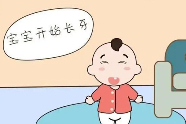 六龄牙什么时候长出来的(六龄牙什么