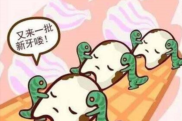 28岁牙齿全部蛀牙怎么办呀(28岁牙齿全