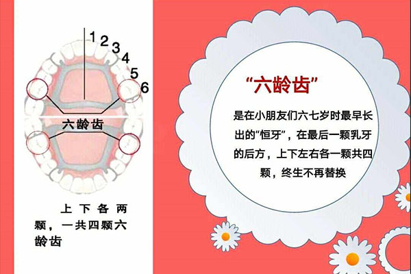 儿童六龄齿坏掉不能补怎么办吃什么
