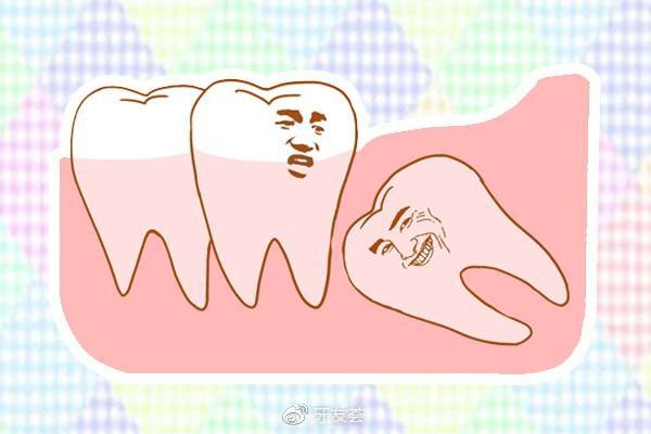 什么样的智齿长不出来