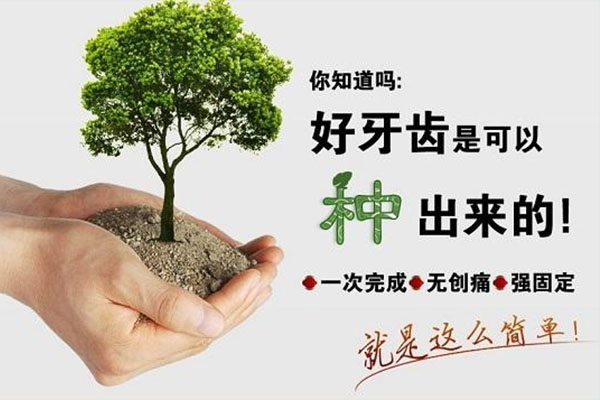 东莞种牙有补贴吗(东莞种牙有补贴吗