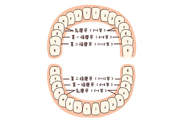 孩子牙龈冒出一个小牙齿怎么回事啊(孩子牙龈冒出一个小牙齿怎