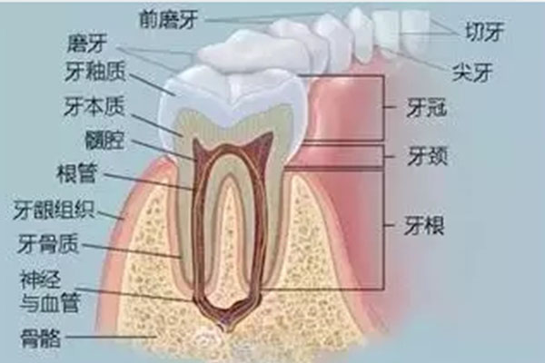 儿童根尖炎脓包怎么治疗好得快(儿童根尖炎脓包怎么治疗好得快