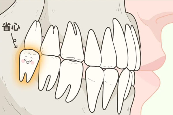 四十岁长智齿代表什么预兆(四十岁长智齿代表什么预兆呢)
