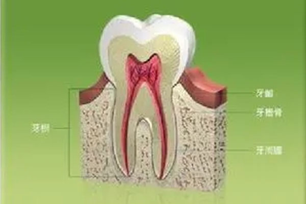 小孩根尖脓肿会影响恒牙吗(小孩根尖