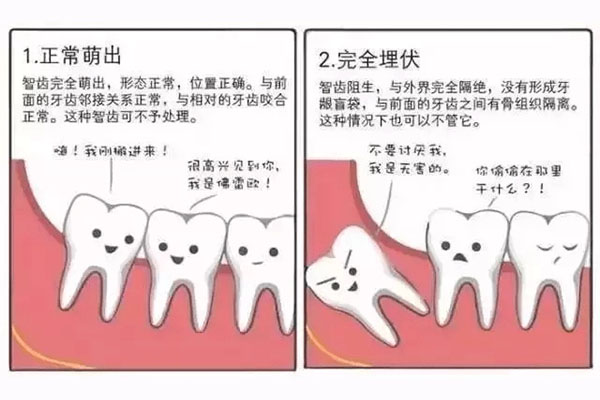 大学生医保拔智齿报销比例高吗(大学