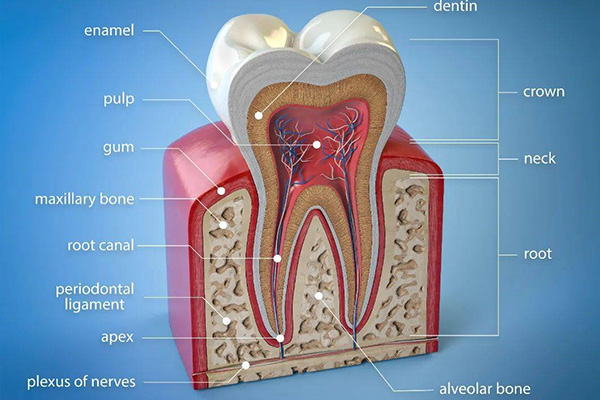 地包天必须手术治疗吗(地包天要手术吗)