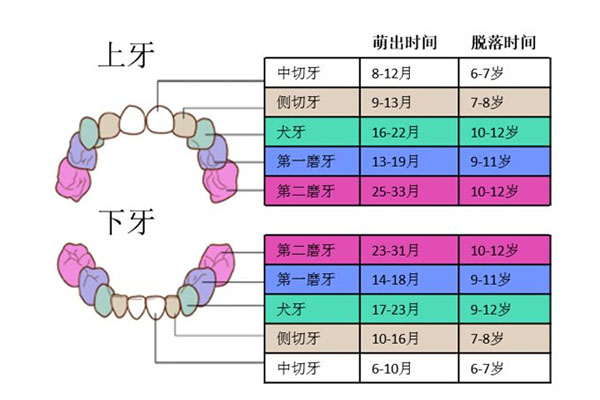 牙齿蛀了一个小洞怎么办(牙齿蛀了一个小洞怎么办啊)
