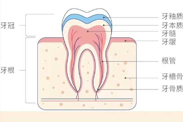 地包天戴牙套会变龅牙吗(地包天戴牙套会反弹吗)