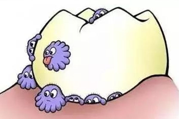 两岁婴儿蛀牙(两岁婴儿蛀牙图片)