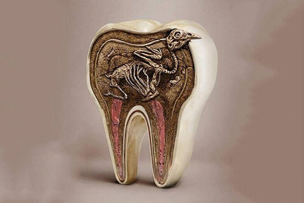 中老年口腔：牙齿烂了一半还能补吗？费用多少？为您解答高效