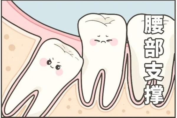 智齿在里面会长出来吗？中老年口腔专家为您详细解答！