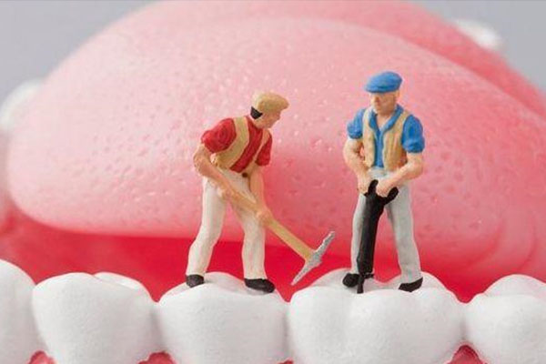 中老年人如何自然减少腿毛困扰？陶鹿鹿分享健康护理秘诀