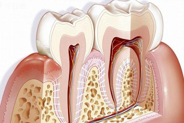 记录第一颗乳牙脱落，珍藏孩子的成