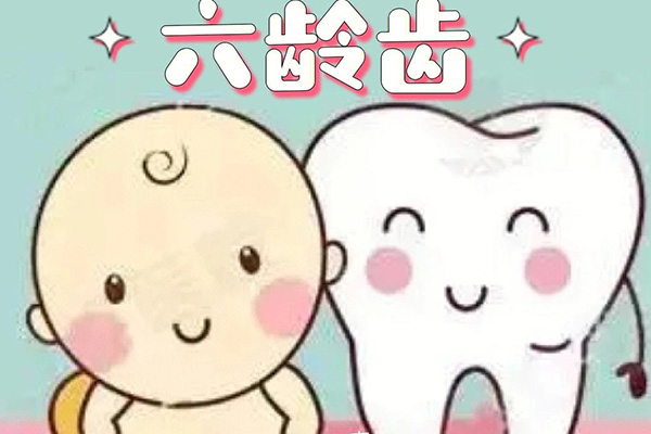 六龄齿刚长出来中间有洞(六龄齿刚长