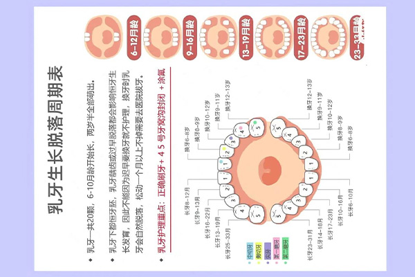 牙齿最里面长了个小肉疙瘩(牙齿最里
