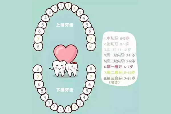 牙齿旁长了个小牙齿是什么病(牙齿旁